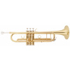 BACIO INSTRUMENTS BTR-150