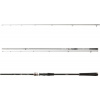 Daiwa Prut Exceler Spin Seatrout 3,15 m 15-40 g