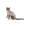 Obleček Body Suit Step'n Go Cats 2XS béžový BUSTER