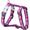 Postroj RD 25 mm x 56-80 cm - Breezy Love Purple
