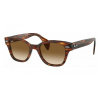 Ray-ban RB0880S 954/51 Veľ. 52