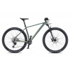 Bicykel 4EVER PRODIGY RACE - 21, chameleon/iron