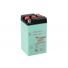 YUASA Conventional 6V battery with acid YUASA B49-6