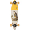 Globe Pintail 34 - Falcon 8x34