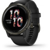 Garmin Venu 2 Slate/Black