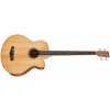TANGLEWOOD TW 7-AB CE NA