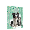 Box na zošity A5 Jumbo MAX - Best Friends Forever