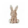 Little Dutch Králiček plyšový 15 cm Newborn Naturals