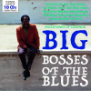 Big Bosses of the Blues - Milestones of Legends (10CD) (MEMBRAN)