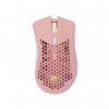 White Shark Lionel Pink WGM-5012
