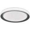Rabalux Everest stropné svietidlo 1x40 W biela-strieborná 3510