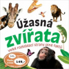 Úžasná zvířata velké rozkládací strany plné faktů