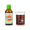 Lymfa - bylinné kapky (tinktura) 50 ml - doplněk stravy