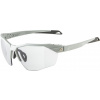 ALPINA Cyklistické okuliare TWIST SIX S HR V smoke-grey
