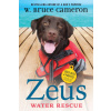 Zeus: Water Rescue: Dogs with a Purpose