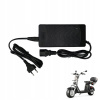Nabíjačka HLT SP-00438/434 67V 3A