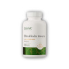 Rhodiola rosea vege 60 kapsúl