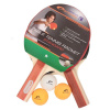 Spokey Standard 81813 table tennis set (47748) N/A