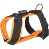 Postroj nylon Chicco - oranžový ManMat vel.L - krk 28-29 cm