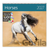 Kalendář Horses 2027 - nástěnný kalendář - Helma