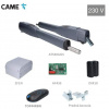 CAME ATS STANDARD 230V sada pre dvojkrídlovú bránu do 3m/krídlo, 2x ATS30AGS (230V, 250W, 1500N), 1x ZF1N, 1x AF43S, 1x TOP44RBN, 1 pár DIR10 (8K01MP-028)