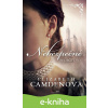 E-kniha Nebezpečné dedičstvo - Elizabeth Camden