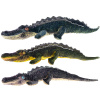 Mikro trading Krokodýl plyšový - 52 cm - 3 barvy