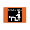 Fotoobraz 90x60 cm stredný Chicks rule