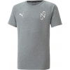 Puma | NJR Evostripe T-Shirt Kids Grau F05 | šedá| 128