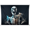 Santex Látkové pozadie Lebka 210 x 150 cm