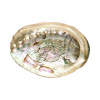 Vydymovacia mušľa Abalone medium