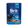 BRIT Cat Kitten Premium kapsička Chicken Chunks 100g