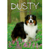 Dusty 2: V nebezpečenstve - Jan Andersen