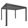 Biohort pergola 4x3,5 - 404,5 x 367,5 cm, tmavosivá metalická/strieborná metalická (lamely) B449430