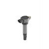 BorgWarner (BERU) Zapalovací cívka ZSE200