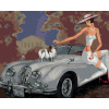 Maľovanie podľa čísel Dáma so psom na kabriolete, 80x100 cm, vypnuté plátno na rám (6043113)