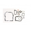 Briggs&Stratton Sada tesnení na motor BR391662