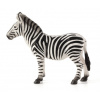 Mojo Zebra