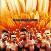 RAMMSTEIN - HERZELEID (2VINYL)