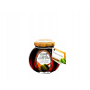 Fungopol Sirup zo zelenej šišky borovice 170 ml