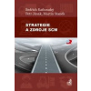 Strategie a zdroje SCM - Rathouský Bedřich Jirsák Petr Staněk Martin