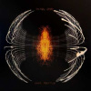 LP Pearl Jam: Dark Matter CLR | LTD
