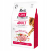 BRIT CARE CAT ADULT Activity Support 2 kg BEZ OBILNÍN