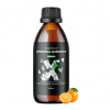 LIPOSOMÁLNÍ TEKUTÝ KVERCETIN - LIQUID LIPOSOMAL QUERCETIN 250 mg - pomeranč 250 ml BRAINMAX