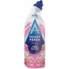 Astonish tekuté čistenie WC 0,75 l
