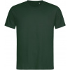 Stedman | Crew Neck T 