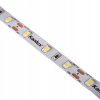 Kanlux 33304