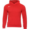 Nike Y NK FLC PARK20 PO HOODIE cw6896-657