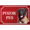Estrélsky pastiersky pes - Kovová tabuľka POZOR PES