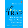 The Perfection Trap